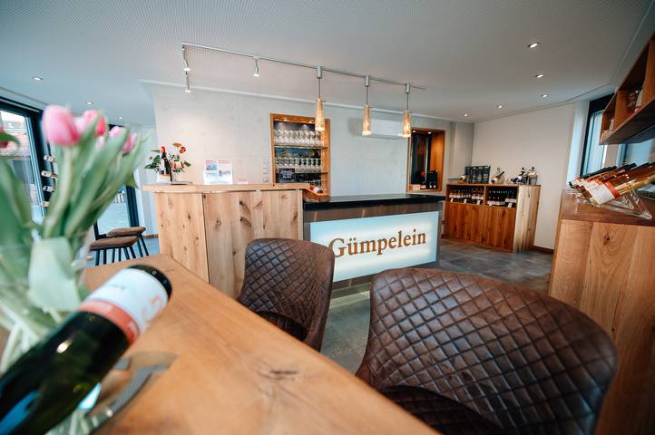 Ferienwohnung für 6 Personen, mit Balkon/Terrasse und Terrasse sowie Garten und Pool in Fränkisches Weinland