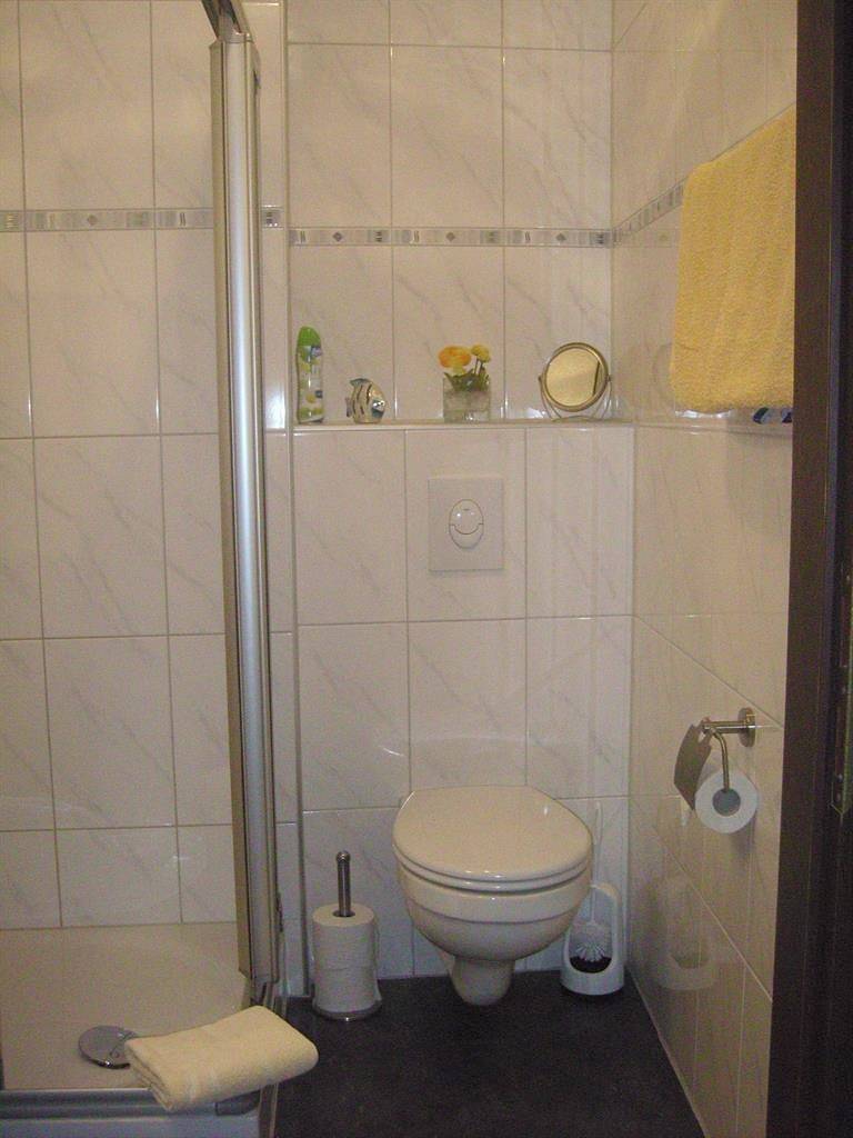 Ganze Ferienwohnung, Gästehaus Horst Clüsserath in Trittenheim, Moseleifel