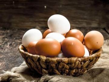 Bungalow für 6 Personen in Montenegro, Bild 3