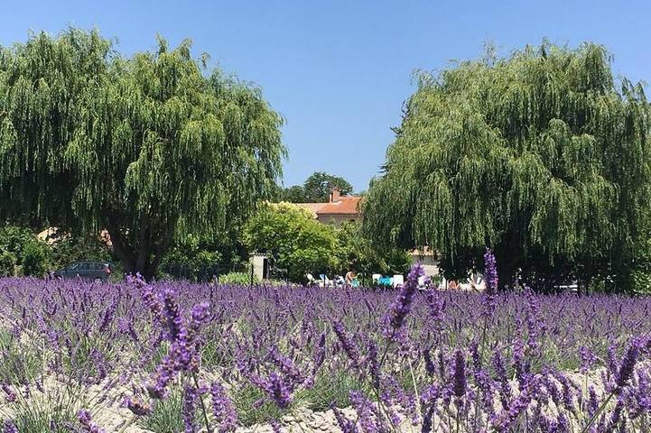 Agriturismo für 14 Personen, mit Pool und Garten in der Provence