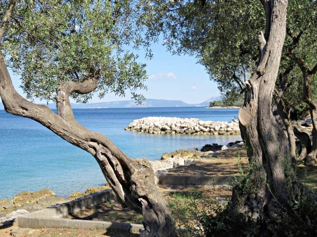 Geheel appartement, Studio with Terrace in Cres Stad, Cres