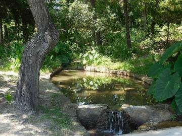 Bed And Breakfasts for 3 Guests in Texas, USA, Picture 3