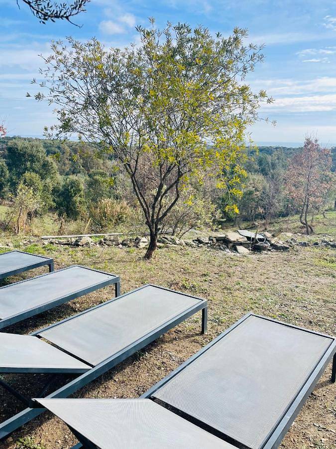 Location de vacances pour 6 personnes, avec vue et jardin, animaux acceptés à San-Giuliano - 4