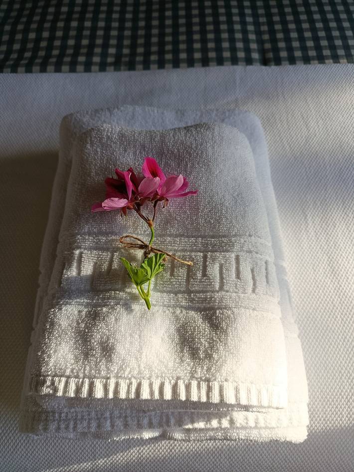 Casa rural para 6 personas, con Jardín en Extremadura - 3