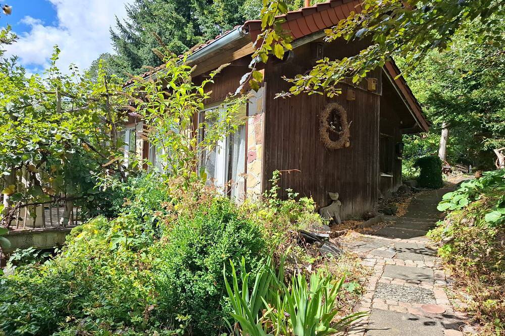 Ganze Wohnung, Haus Irina -Fh mit Doppelbett in der Galerie und Schlafsofa - Haus Irina & Haus in Elend, Harzvorland