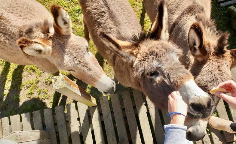 Location de vacances pour 6 personnes, avec Terrasse ainsi que Jardin et Vue à Bressuire