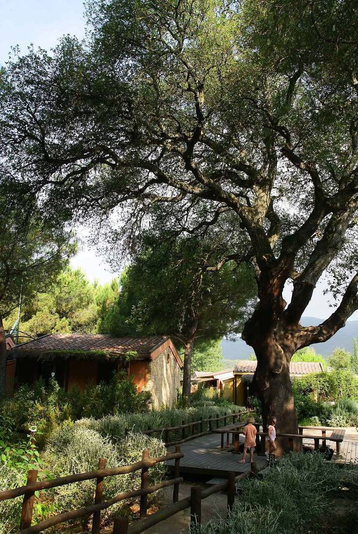Bungalow für 6 Personen in der Maremma - 4