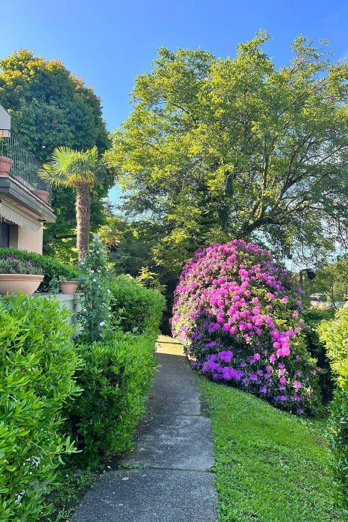 Gîte pour 7 personnes, avec jardin dans Ispra - 3