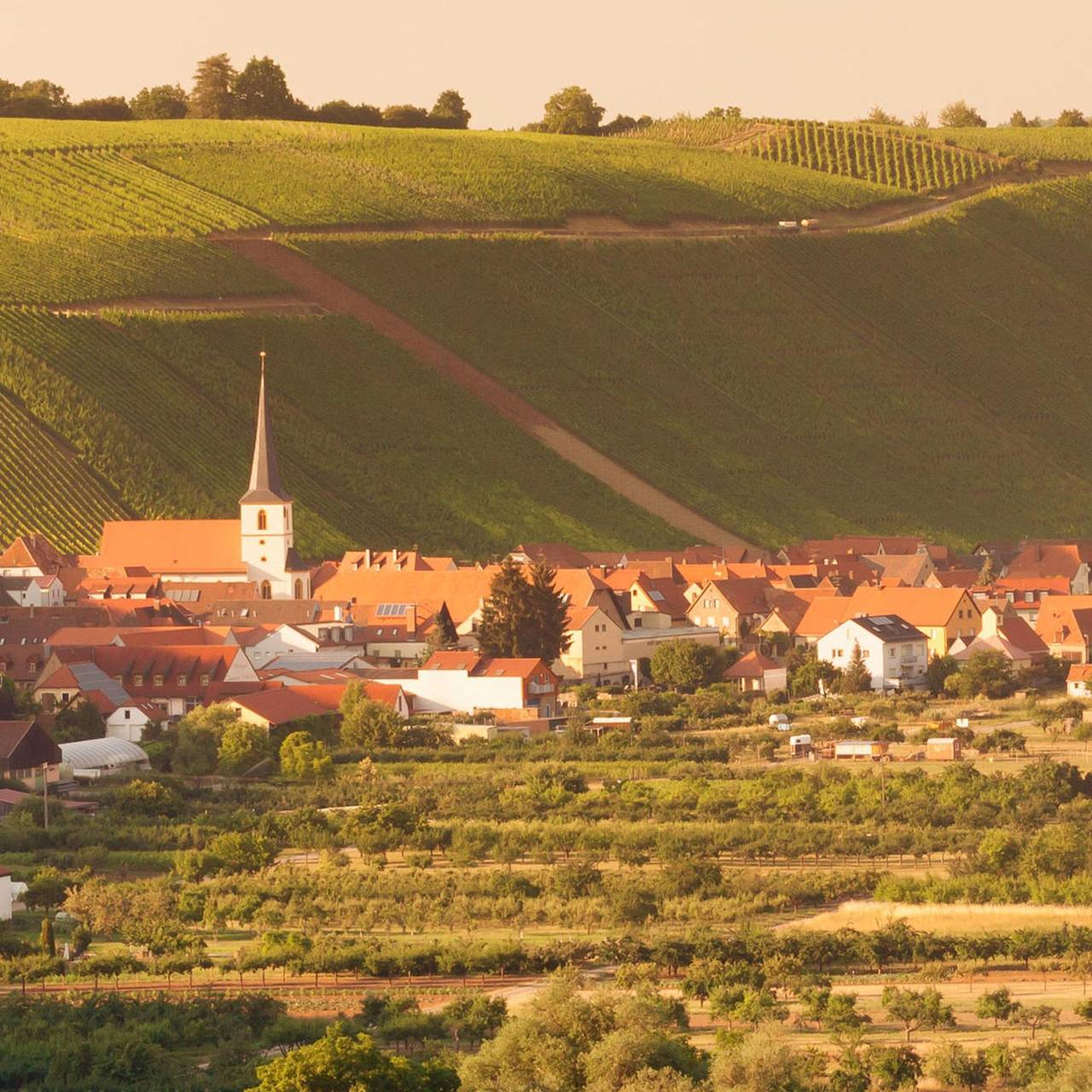 Domizil Nunn - Doppelzimmer in Volkach, Franconian Wine Country