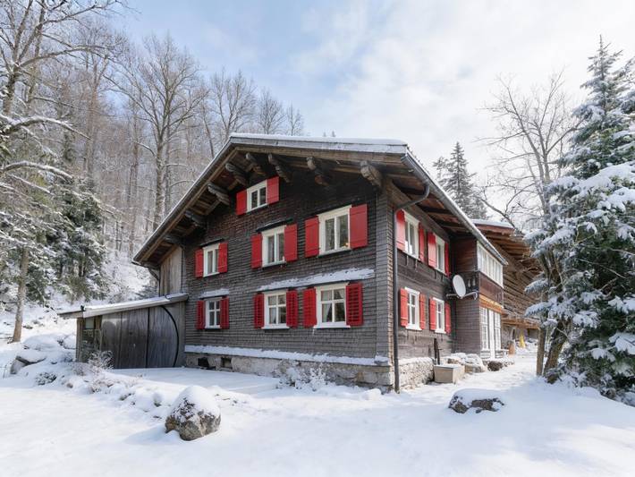 Ferienhaus für 8 Personen, mit Garten in Dalaas