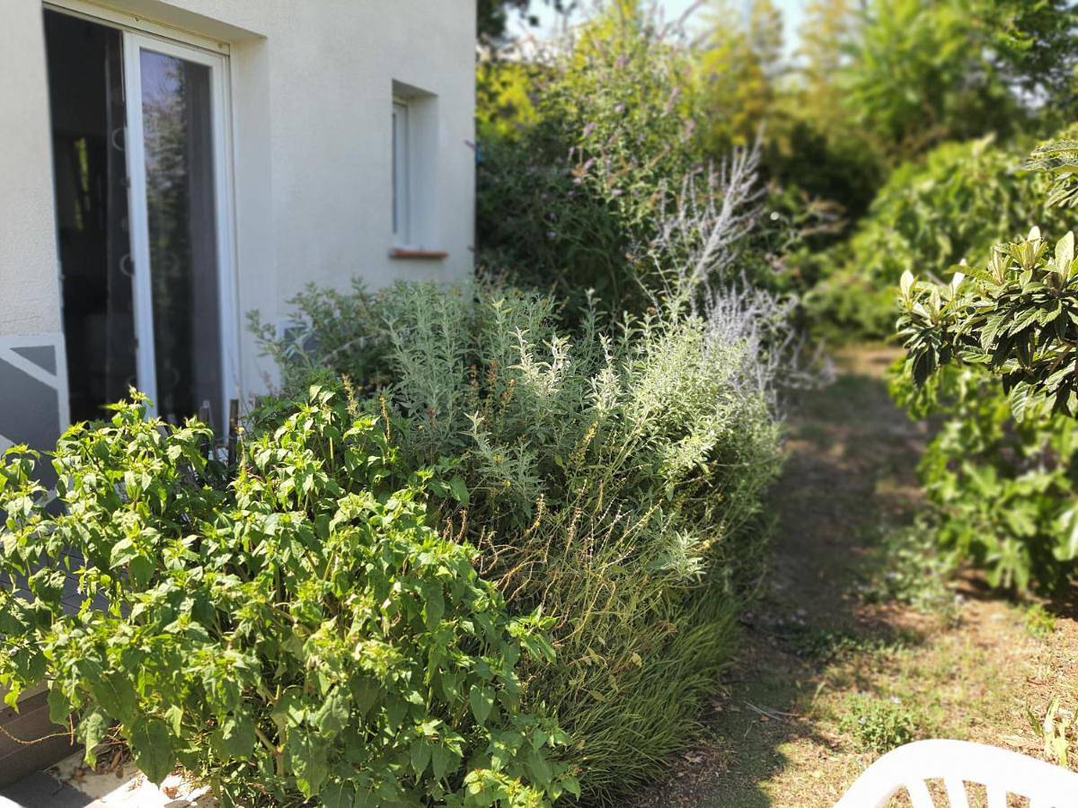 Appartement entier, Les Petits Muriers in Carnoules, Côte méditerranéenne (France)