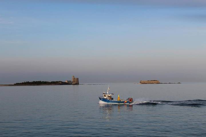 Chambre d’hôte pour 2 personnes, avec vue dans Val-de-Saire - 2