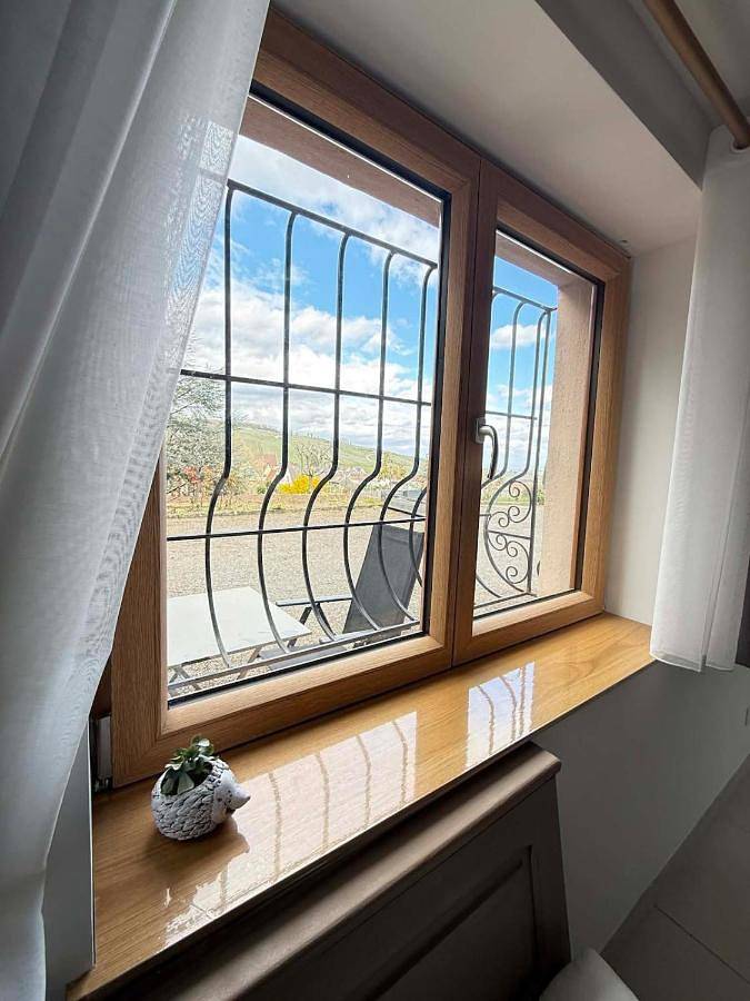 Maison d’hôte pour 2 personnes, avec jardin et vue à Riquewihr - 3