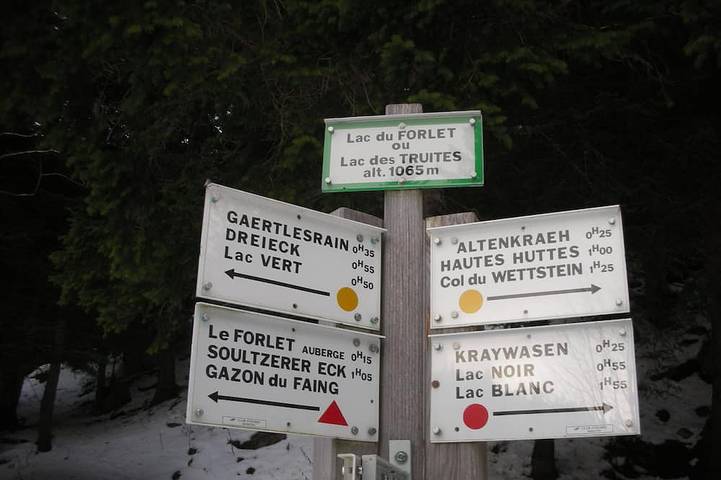 Location de vacances pour 8 personnes, avec terrasse et jardin à Hohrod - 4