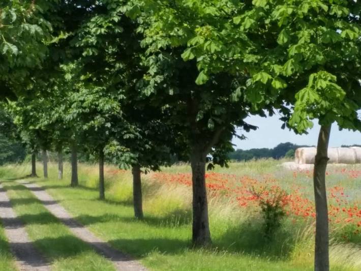 Ferienhaus in Klocksin mit Schwimmbecken in Klocksin, Mecklenburgische Seenplatte