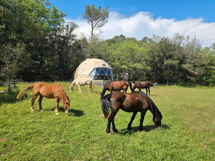 Gîte pour 3 personnes, avec jardin dans le Var