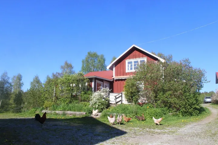 Ferienhaus für 5 Personen, mit Garten und Ausblick, mit Haustier - 1