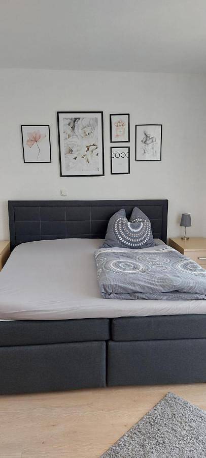 Gîte pour 4 personnes, avec terrasse et vue à Neuhof