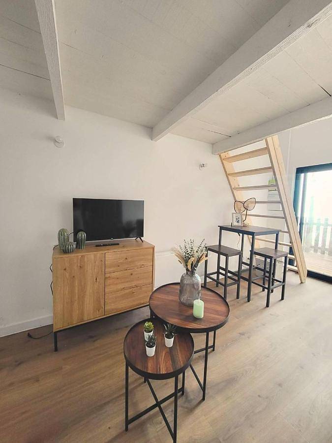 Appartement entier, One-Bedroom Apartment with Terrace in Bourg-Argental, Parc Naturel Régional du Pilat