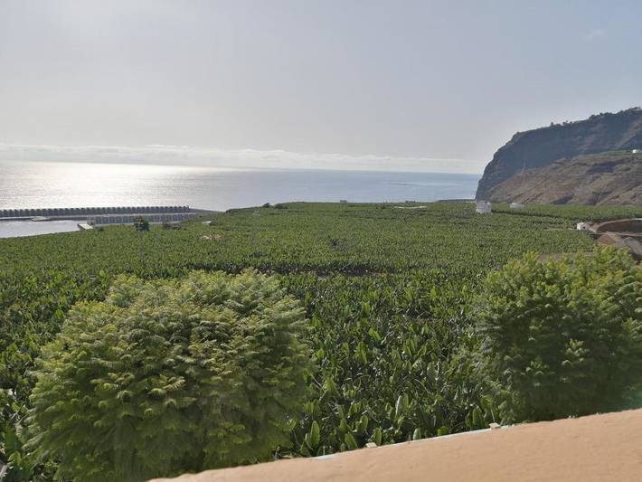 Casa rural para 5 personas, con vistas y balcón en Tazacorte - 3