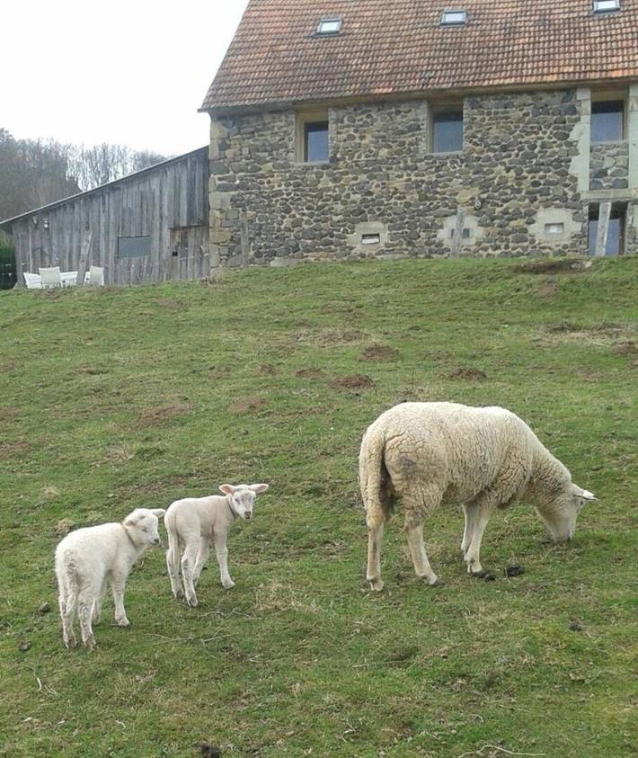 Gîte pour 5 personnes, avec vue et jardin à Champagnac - 4