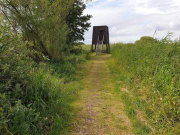 Natuurhuisje voor 8 Personen in Ebeltoft, East Jutland, Afbeelding 4