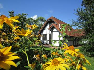 Ferienpark für 8 Personen, mit Garten und Terrasse, kinderfreundlich in Altes Land Stade