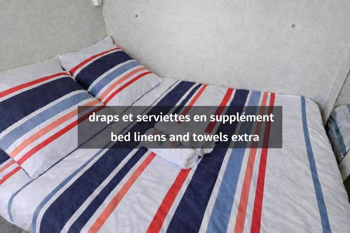 Bateau pour 5 personnes, avec terrasse et jacuzzi, adapté aux familles à Ouges - 3