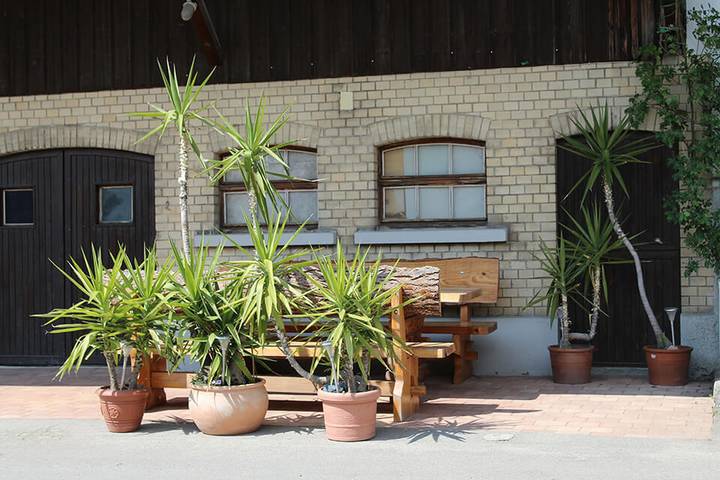 Ganze Wohnung, Obst- u. Ferienhof Hartmann - Appartement 3 in Wasserburg (Bodensee), Bayerisch Schwaben