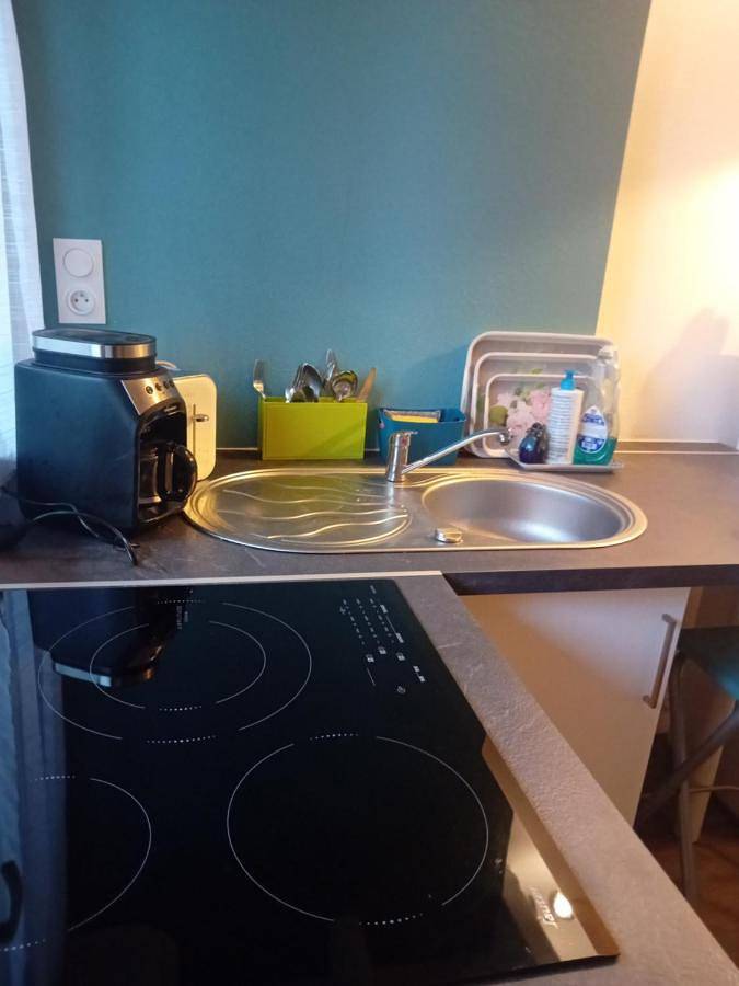 Gîte pour 4 personnes, avec vue et balcon à Buzet-sur-Tarn - 3