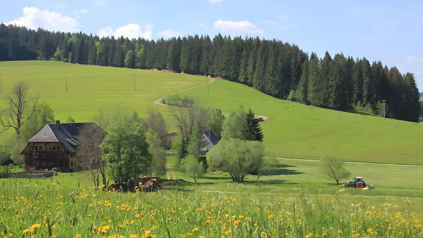 Ferienhaus für 3 Personen, mit Garten in Titisee-Neustadt
