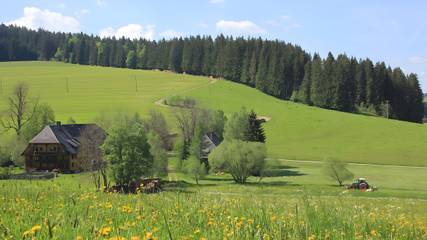 Bauernhof für 3 Personen, mit Garten in Titisee-Neustadt