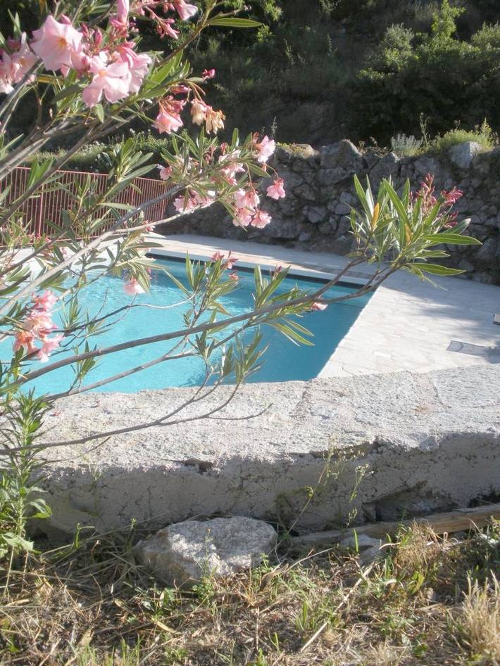 Location de vacances pour 12 personnes, avec piscine ainsi que vue et jardin, animaux acceptés à Mandagout - 3