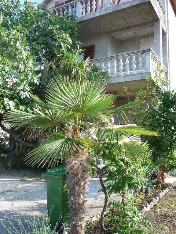 Ferienwohnung für 8 Personen, mit Balkon und Terrasse in Sukosan - 4