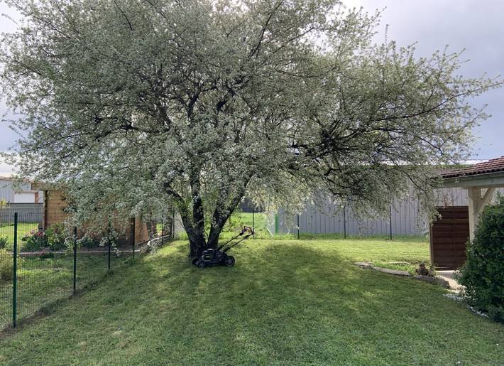 Location de vacances pour 5 personnes, avec jardin ainsi que piscine et terrasse dans Belley - 2