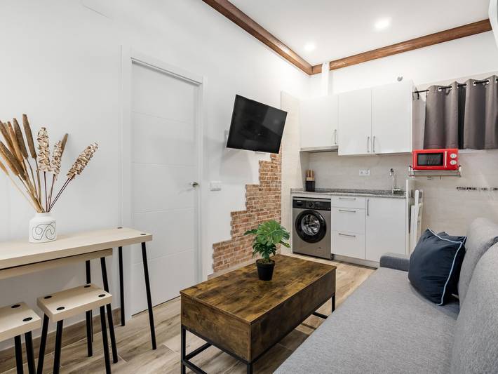 Ganze Ferienwohnung, Ferienwohnung für 3 Personen in Madrid, Área Metropolitana de Madrid