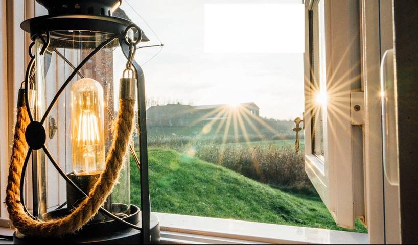Ganze Ferienwohnung, Graugans in Badestelle Schütting, Pellworm