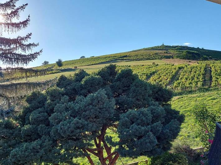 Maison d’hôte pour 4 personnes, avec vue ainsi que jardin et piscine dans Rhône - 4