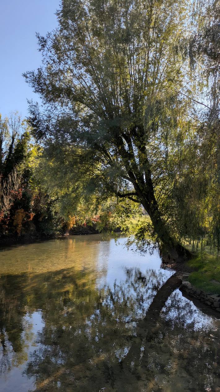 Location de vacances pour 10 personnes, animaux acceptés dans Parc national de forêts - 3