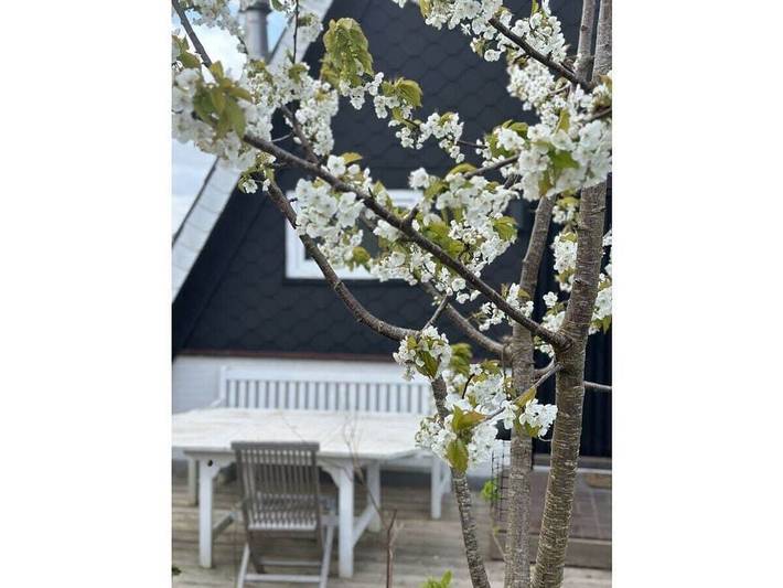 Ferienhaus für 6 Personen, mit Garten und Sauna in Angeln Halbinsel - 2