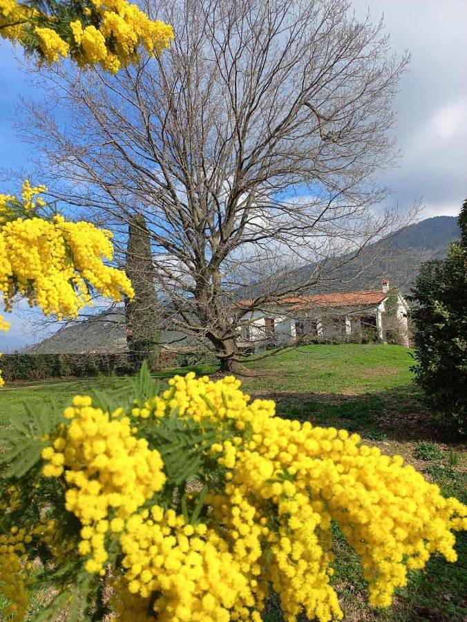 Villa per 7 persone, con Balcone e Terrazza nonché Giardino e Panorama a San Giuliano Terme