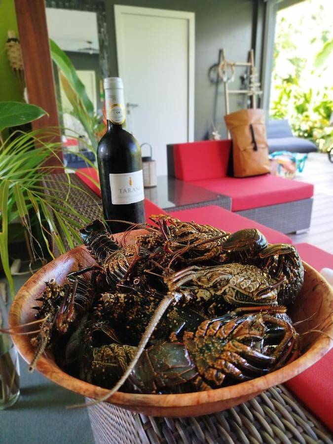 Location de vacances pour 4 personnes, avec jardin ainsi que piscine et vue dans Teahupo'o - 2
