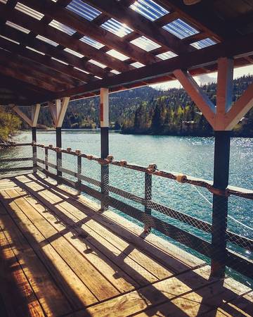 Blockhütte für 4 Personen in Halibut Cove, Alaska, Bild 4