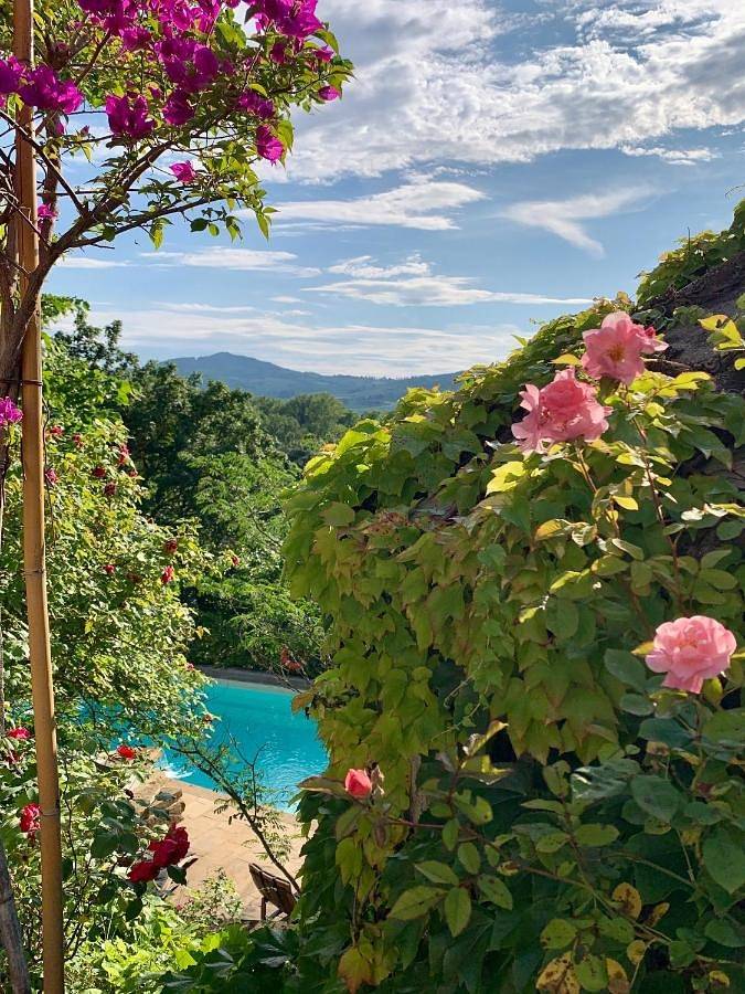 Ferienhaus für 3 Personen, mit Terrasse und Garten sowie Pool und Ausblick in Rufina