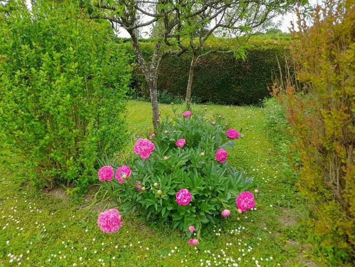 Location de vacances pour 6 personnes, avec terrasse et jardin à Chargé - 4
