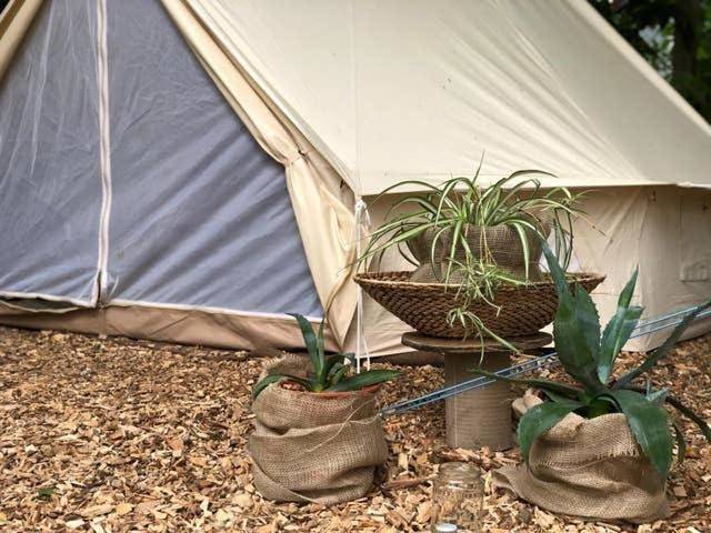 Into the Green Glamping - Chestnut in Markt Nordheim, Steigerwald