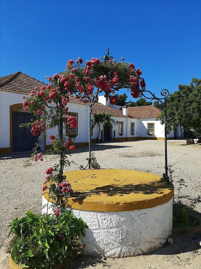 Holiday Home in Benfica do Ribatejo, Rio Tejo