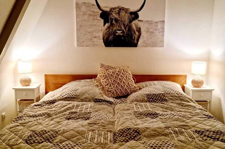 Ferienhaus für 4 Personen, mit Garten und Terrasse sowie Sauna, mit Haustier in Brodersby an der Schlei - 2