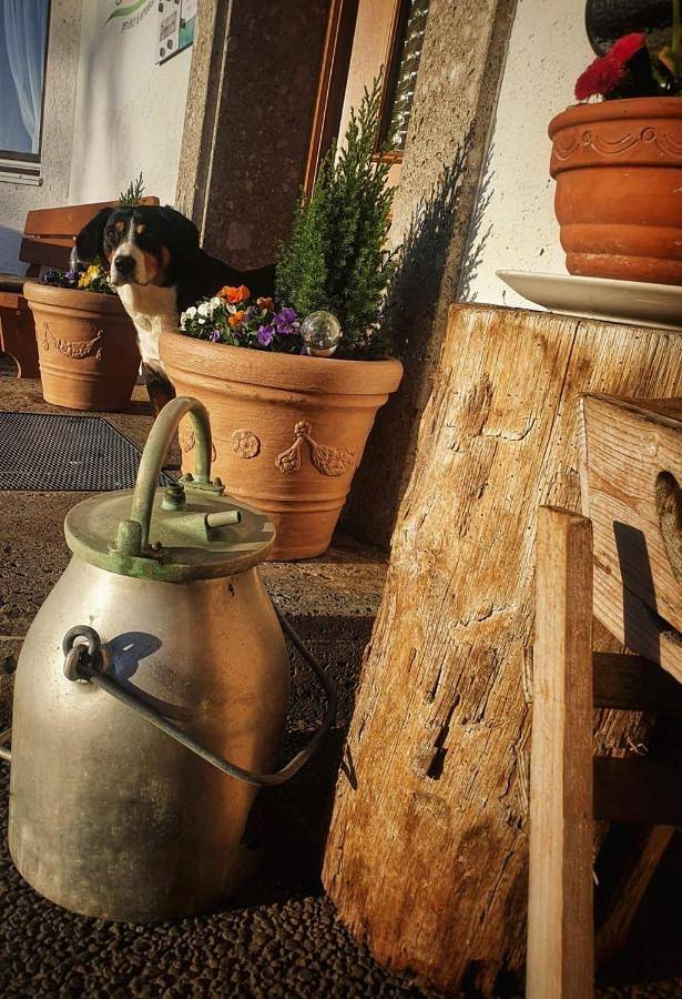 Maison d’hôte, avec Balcon ainsi que Jardin et Vue à Huglfing