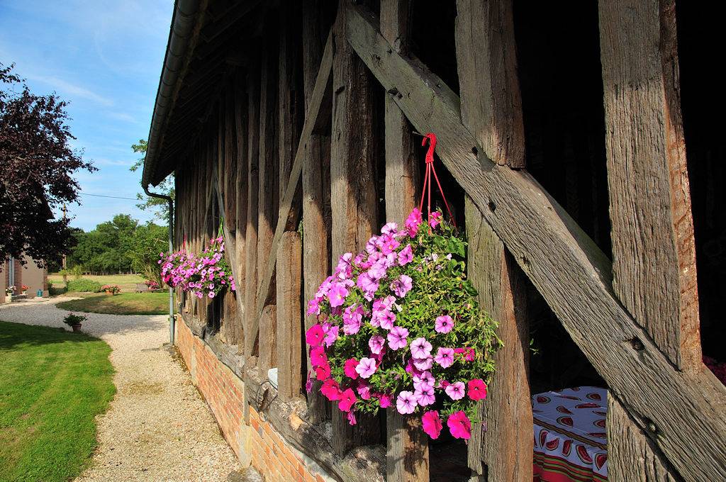 Chambres d'hôtes Ferme de Pinas - Chambre Framboisine in Nouan-le-Fuzelier, Sologne